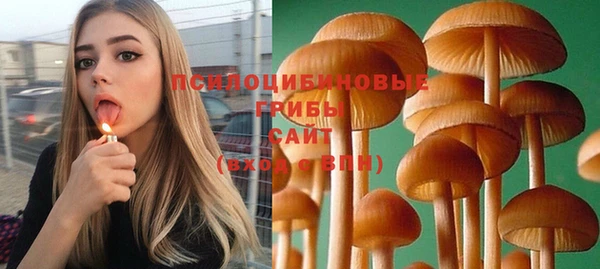 PSILOCYBIN Абинск