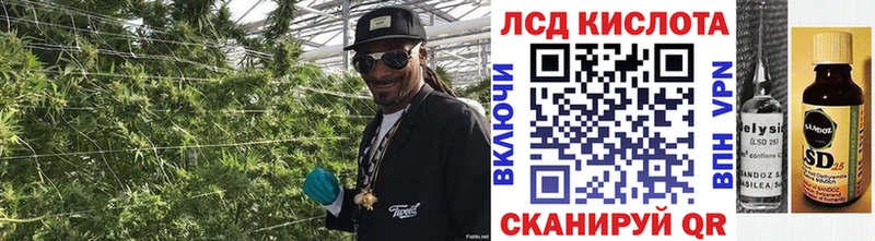 omg   Красный Сулин  Наркотические марки 1500мкг 