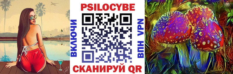 Псилоцибиновые грибы мицелий  Красный Сулин 