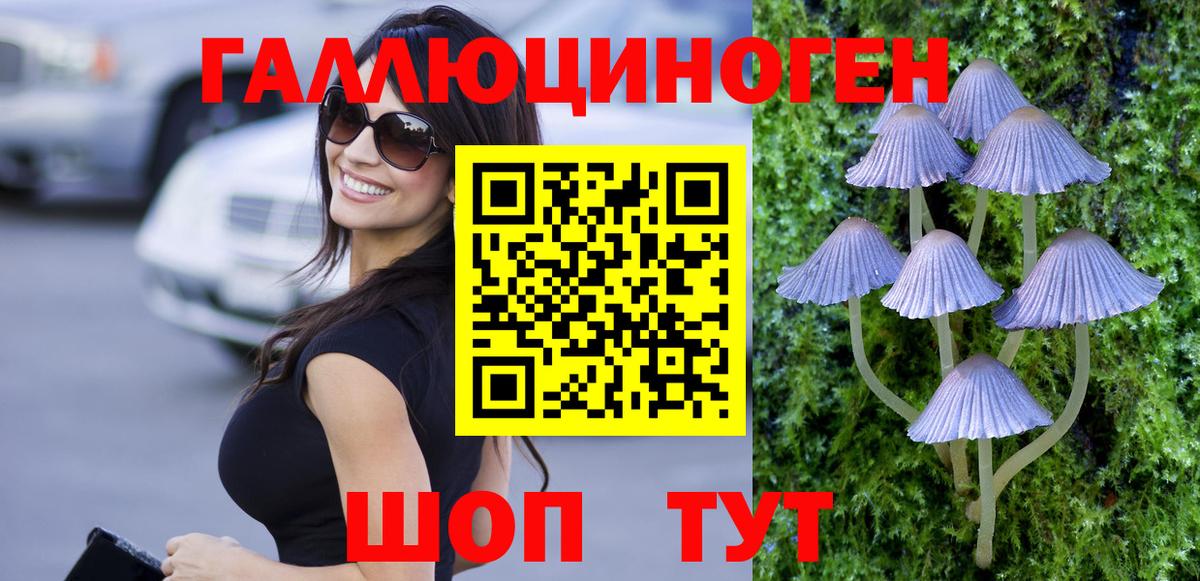 Галлюциногенные грибы прущие грибы Красный Сулин